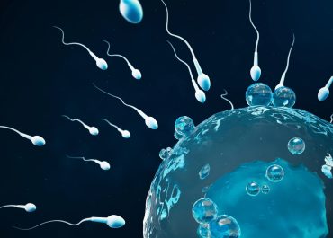TESTOSTERON U MĘŻCZYZN – NORMA, BADANIE, ROLA W PŁODNOŚCI