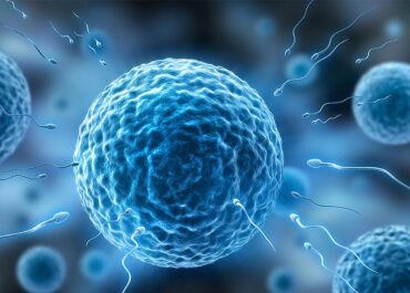 TESTOSTERON U MĘŻCZYZN – NORMA, BADANIE, ROLA W PŁODNOŚCI